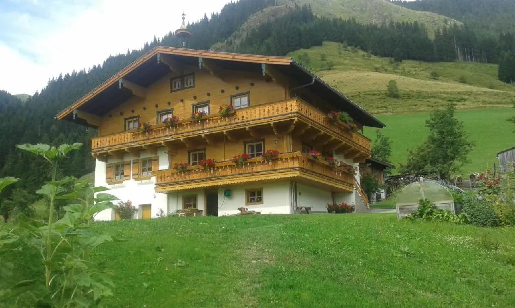 Biobergbauernhof Brandenau