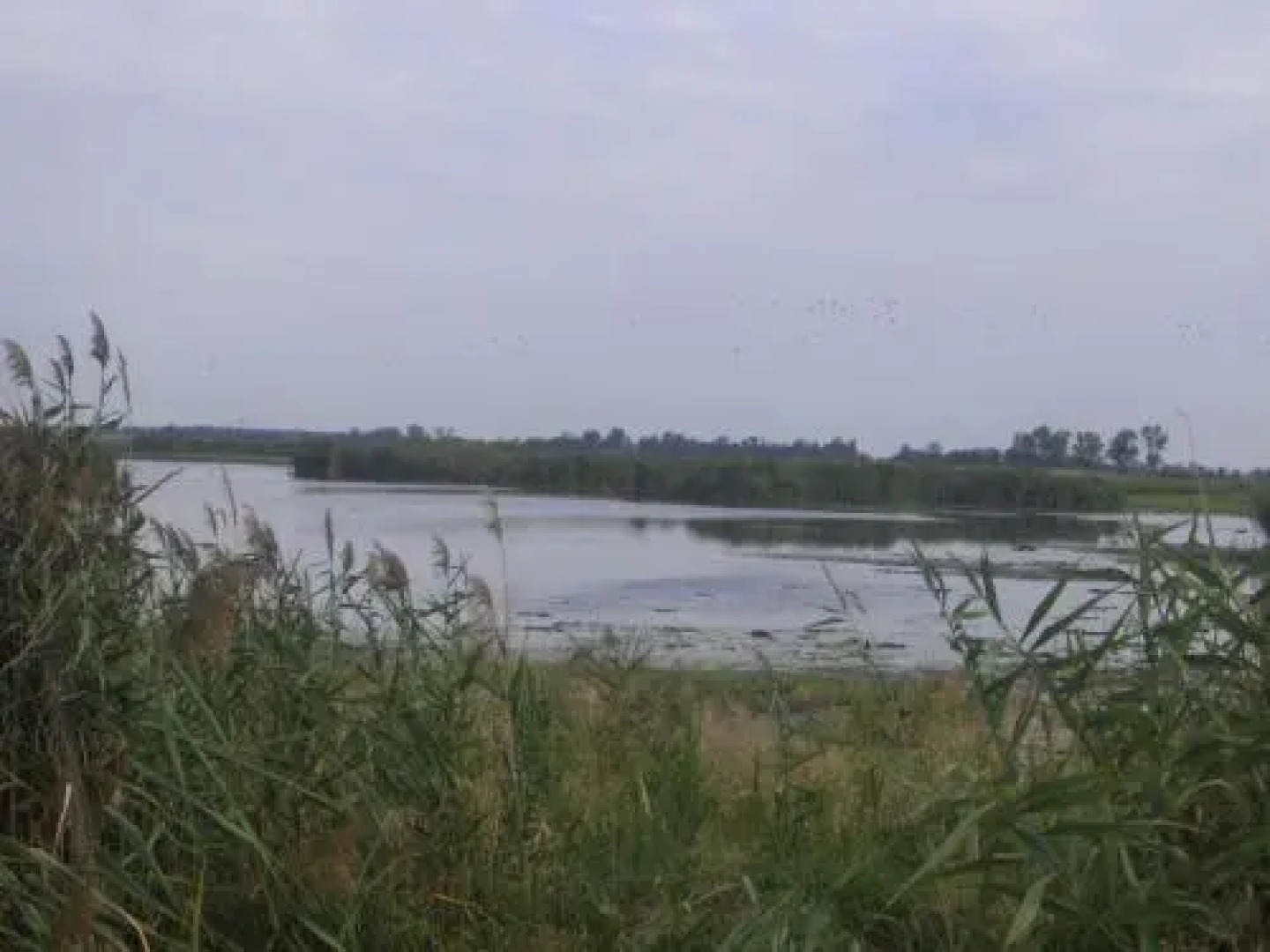 Szoke Tisza Vendeghaz