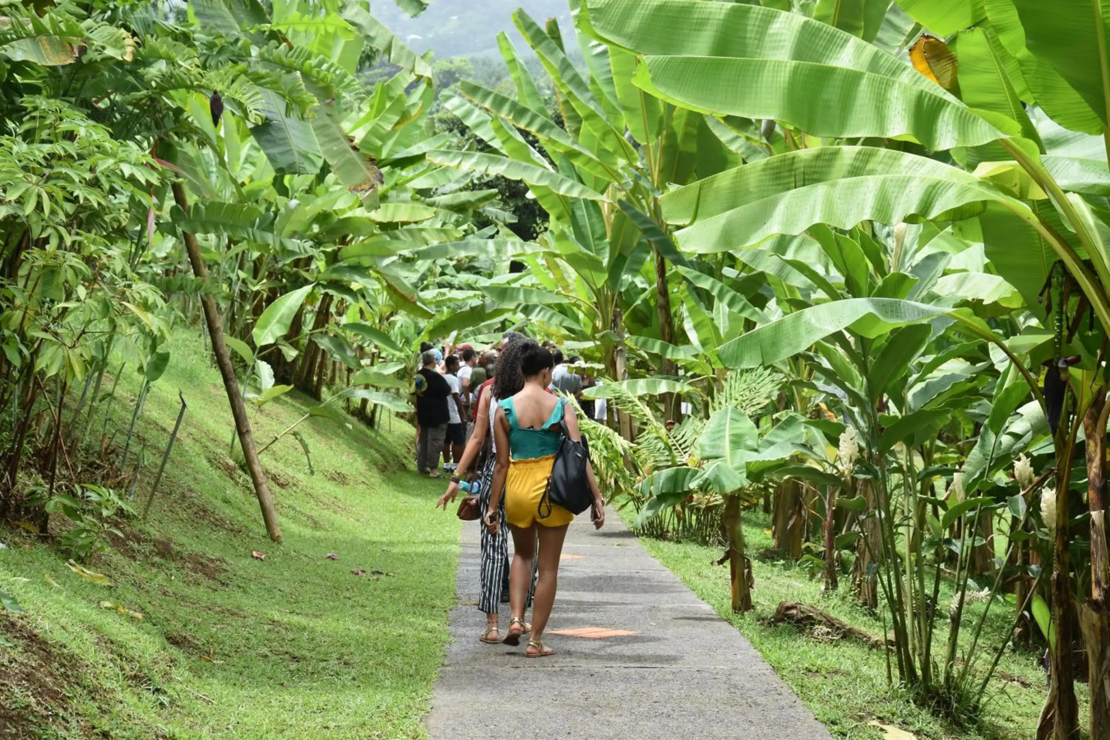 Haut de villa dans son écrin de verdure