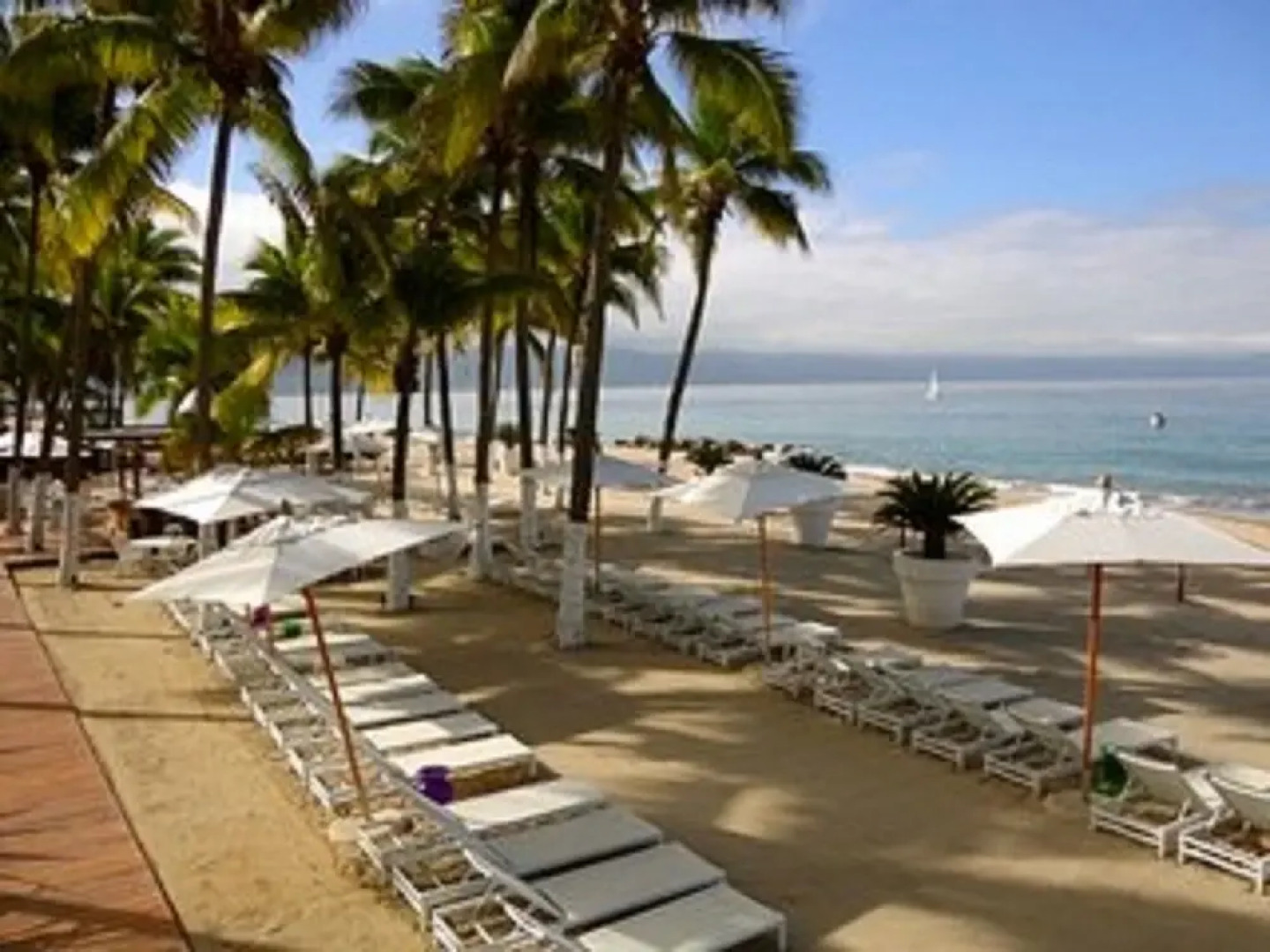 Icon Vallarta Apartments