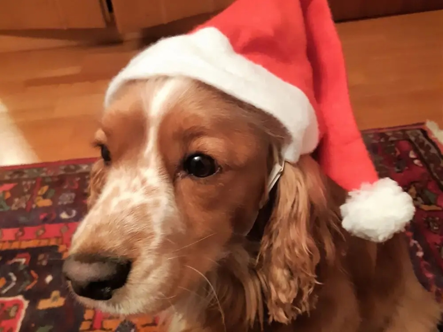 Apart Eva Sautens in Sautens