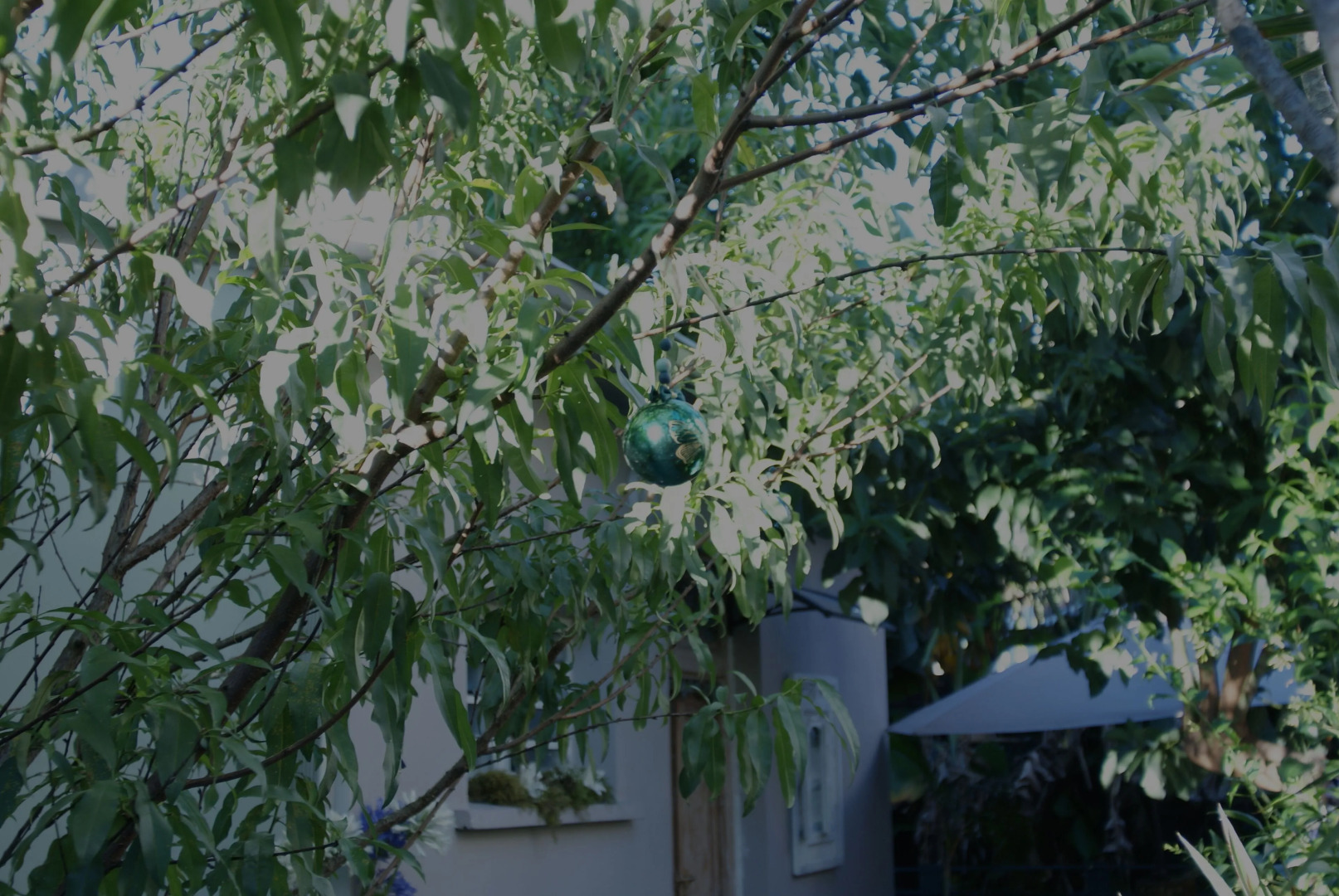 Le Jardin De Ravintsara - Adults Only