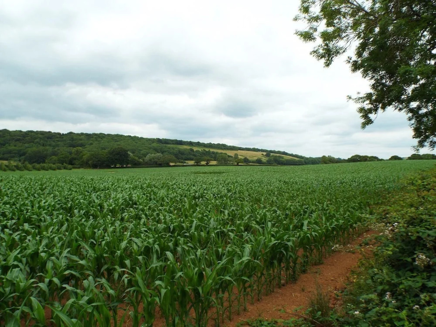 Relaxing Studio - Sauna - Luxe Bed - Pet-friendly