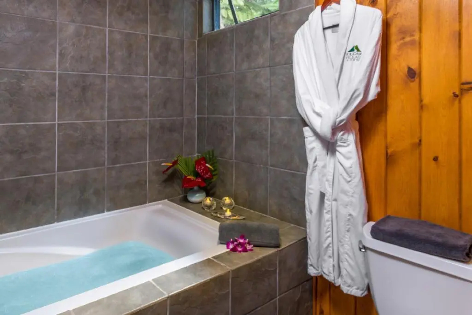 Volcano Village Lodge