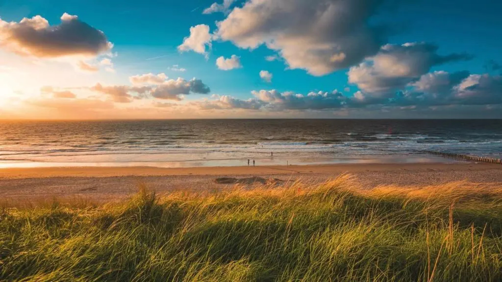 NIEUW! Vakantiehuis Singel 3A met SAUNA - baddomburg