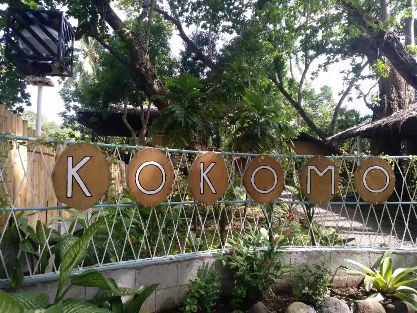 Kokomo Dive Resort Accommodation Hotel