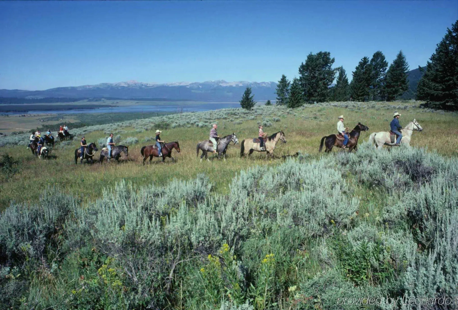 DoubleTree by Hilton Hotel Billings