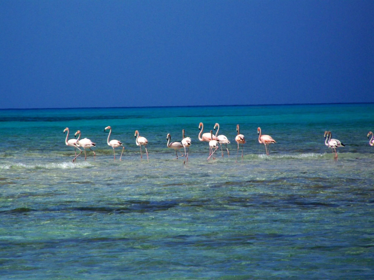 Stella Maris Resort Club