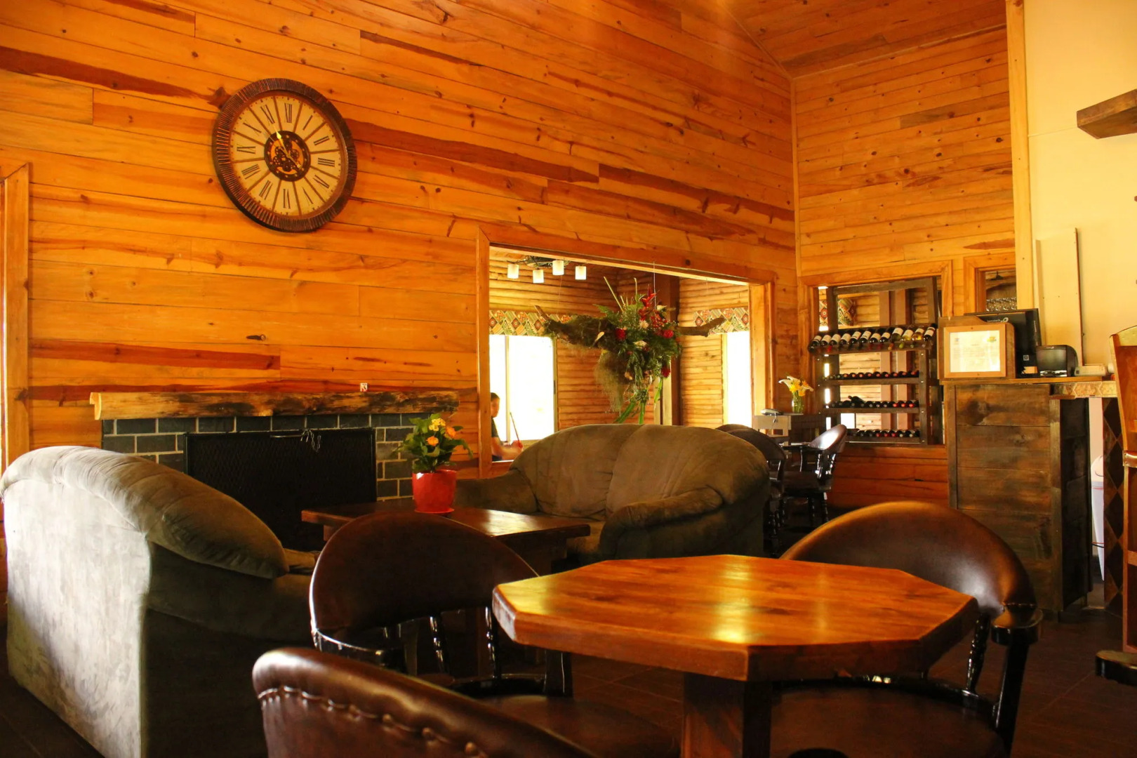 Tree Trek Boquete Adventure Park