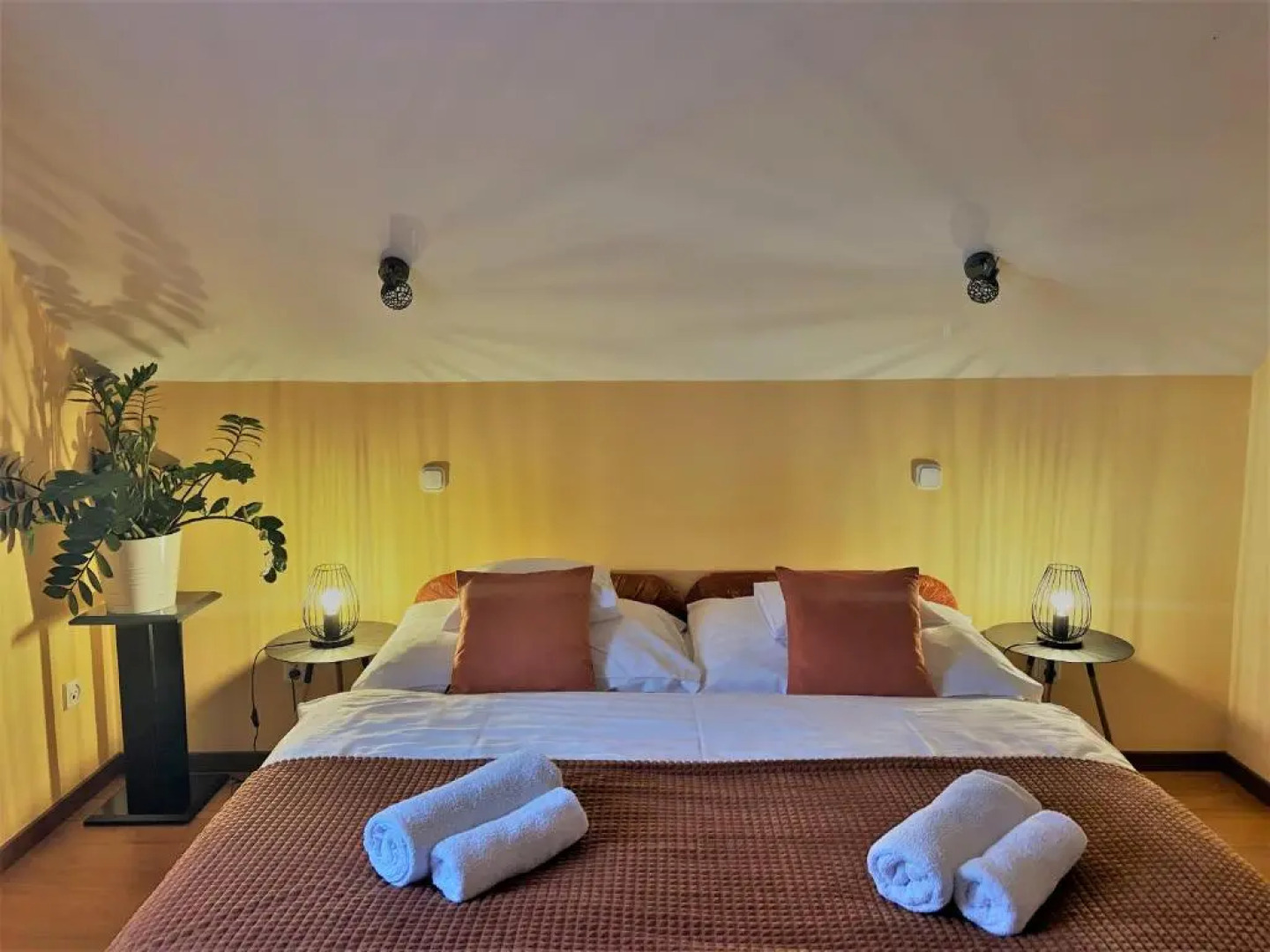 Barackvirág Panzió