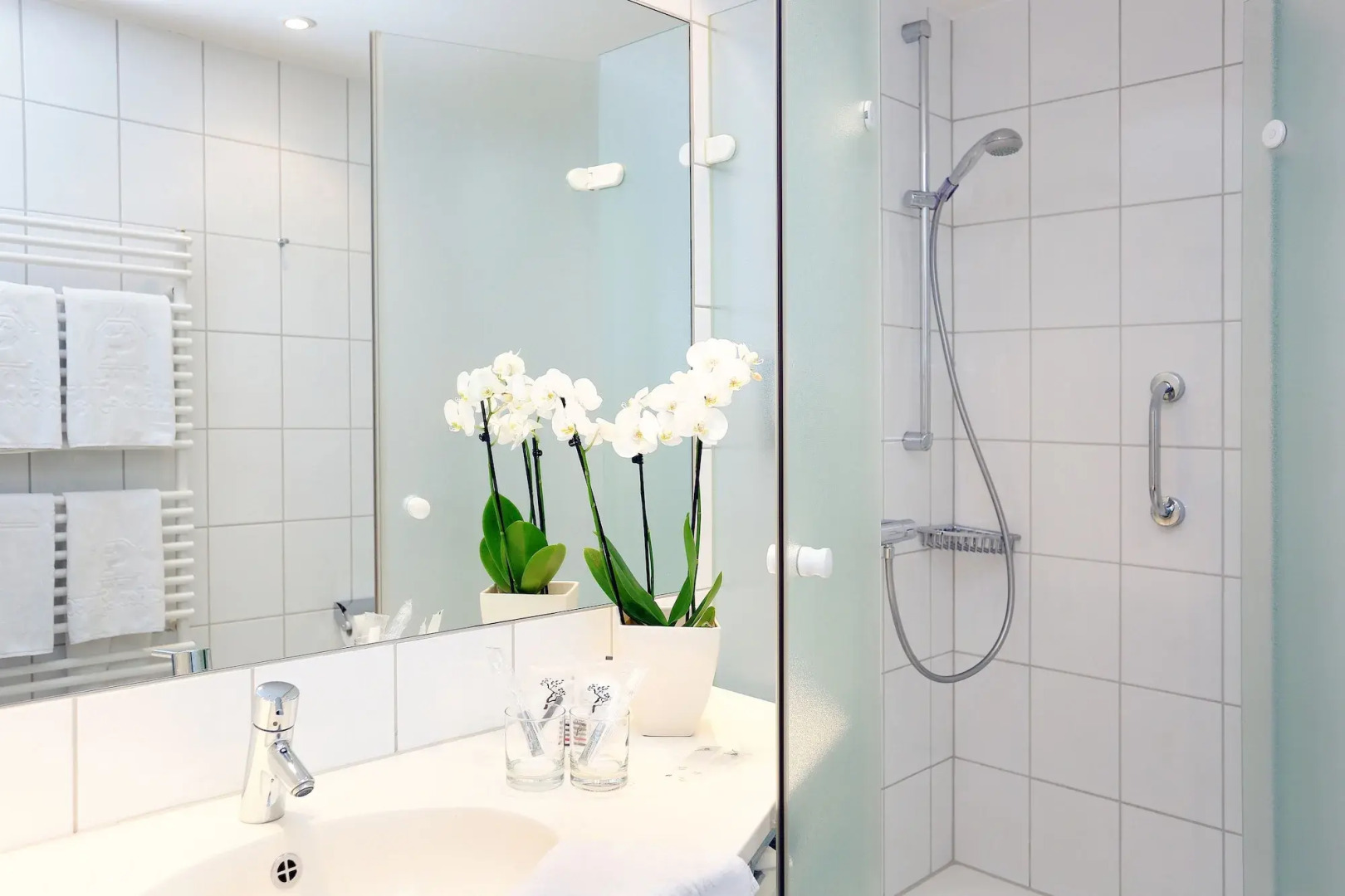 Ringhotel Weißer Hirsch