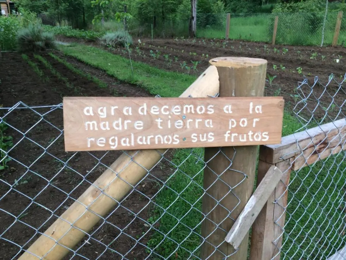 Ecoreserva Quelhue Lodge y Cabañas