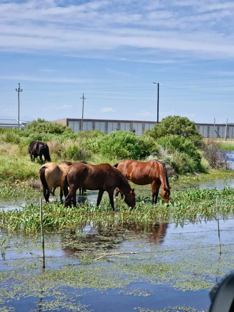 River View Cottage - at the Breede.