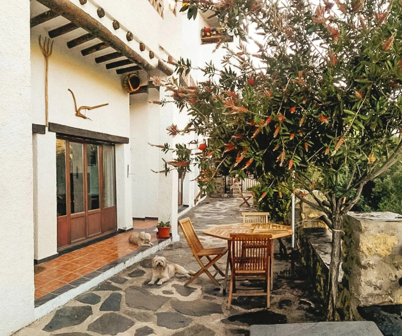 El Vergel de Berchules