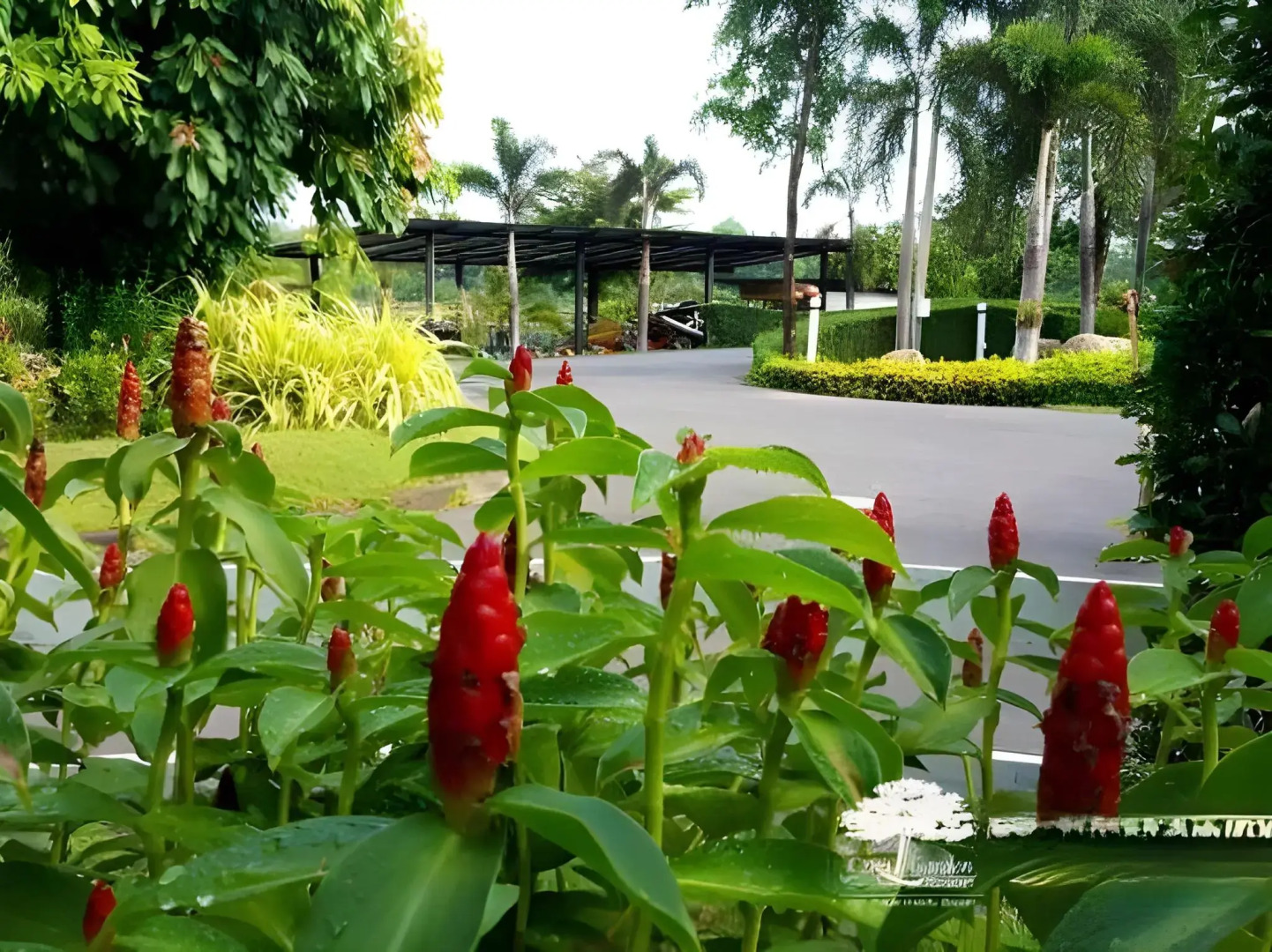 The Canal Garden Resort