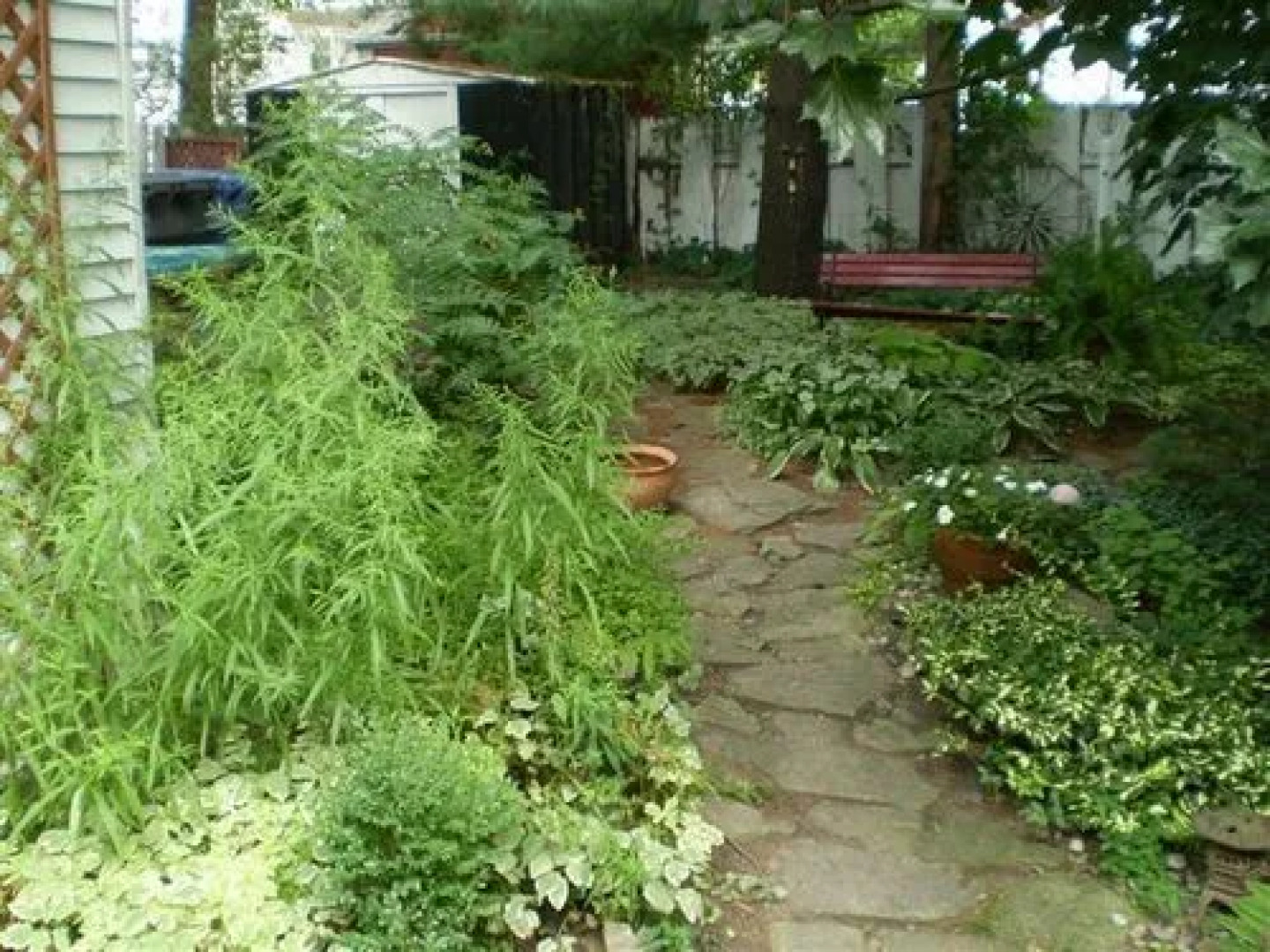 L'Oasis du Vieux-Longueuil