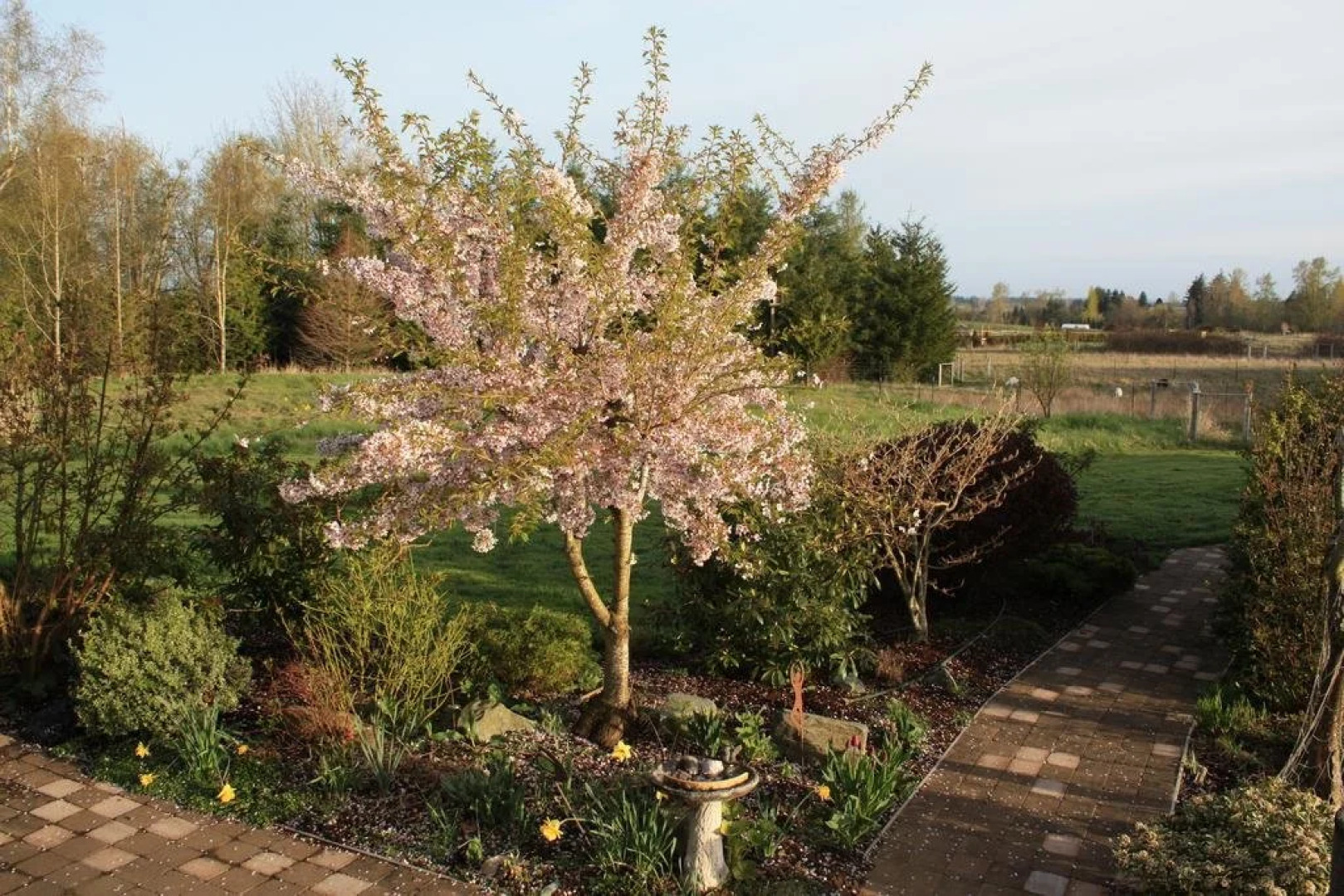 Axton Road Bed & Breakfast