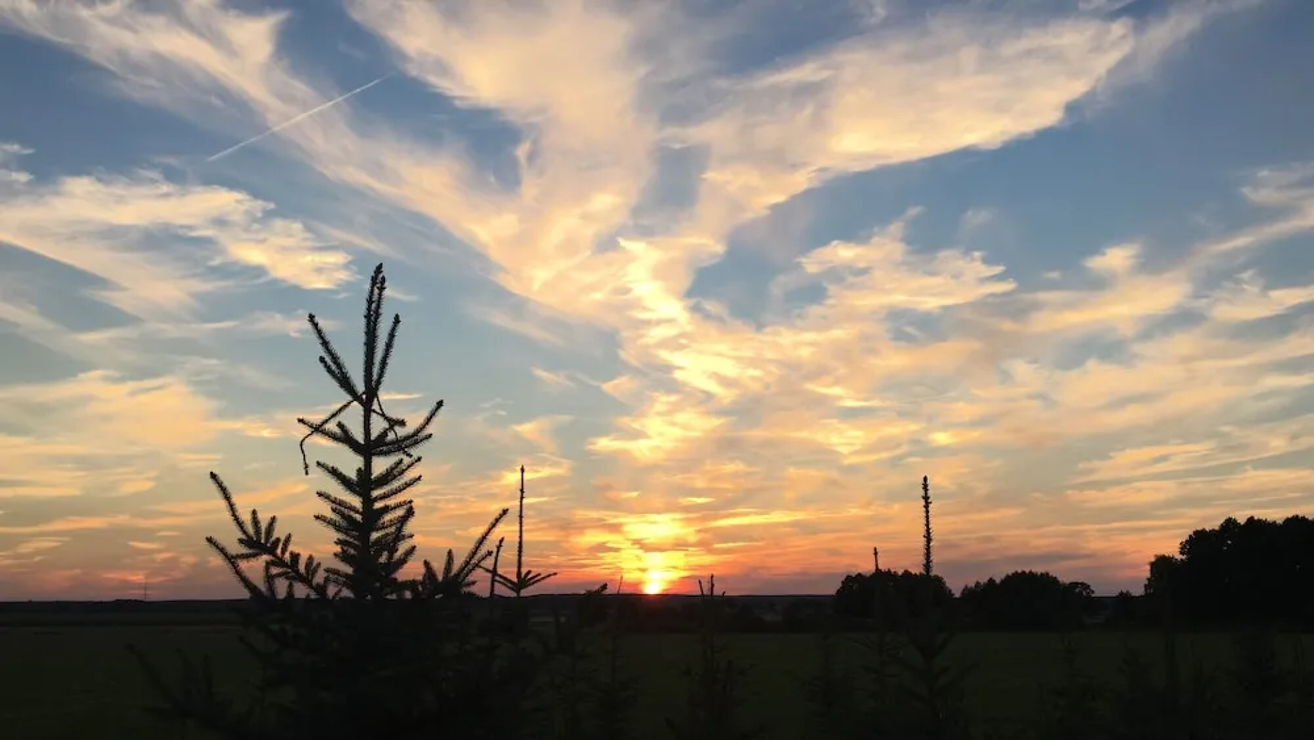 Idyllische Ferienwohnung mit Garten