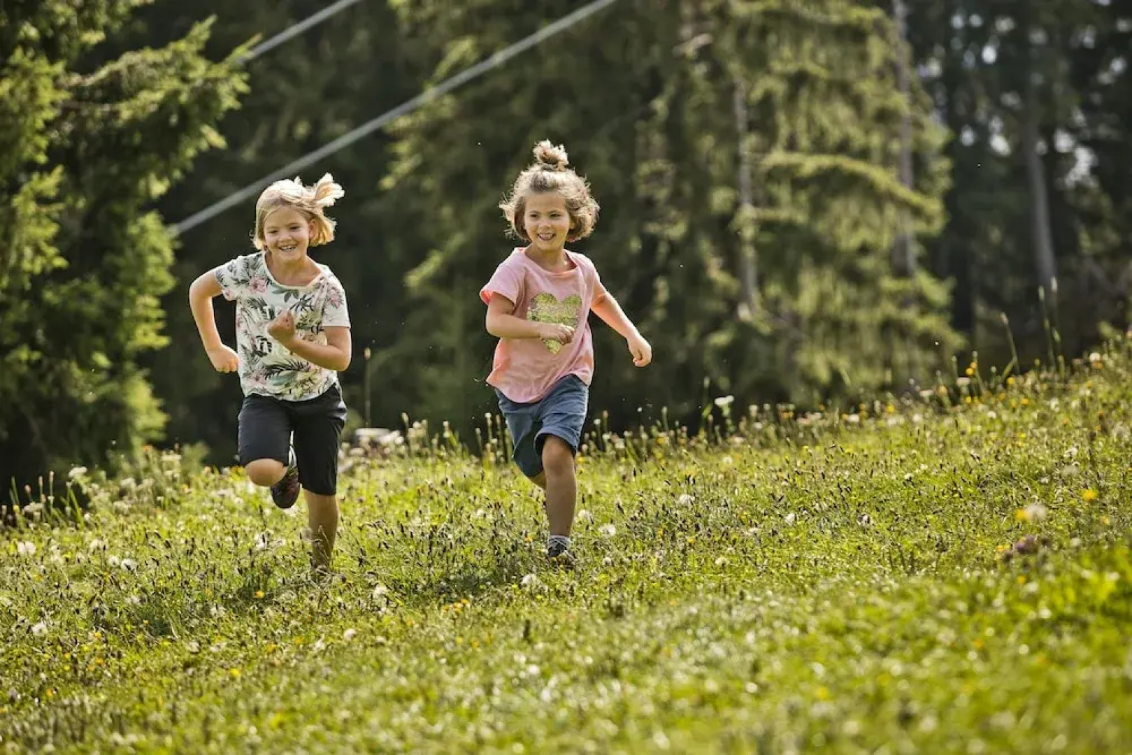 AlpenParks Chalet & Apartment Steve Lodge Viehhofen