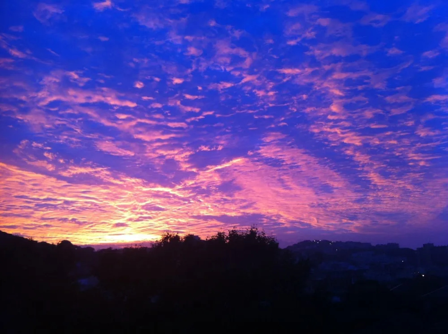 Hipócrates Curhotel