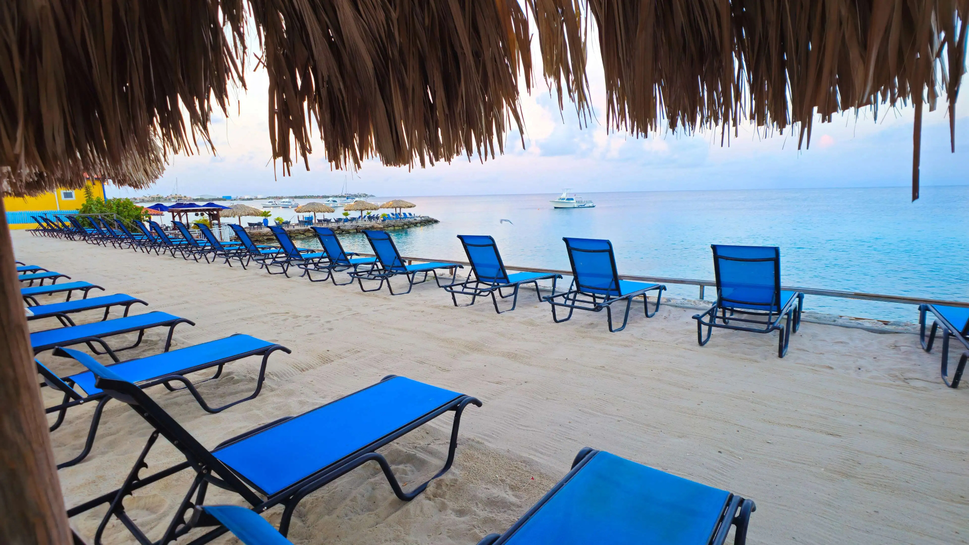 Divi Flamingo Beach Resort & Casino