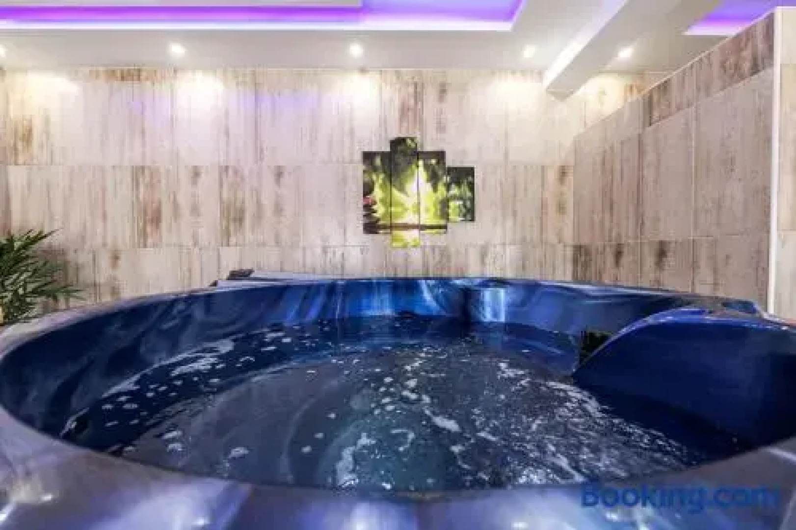 Apartments Sunčani Breg Vrdnik