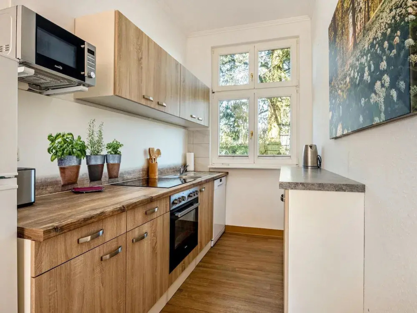 Apartment on Lake Muritz With Marina Access