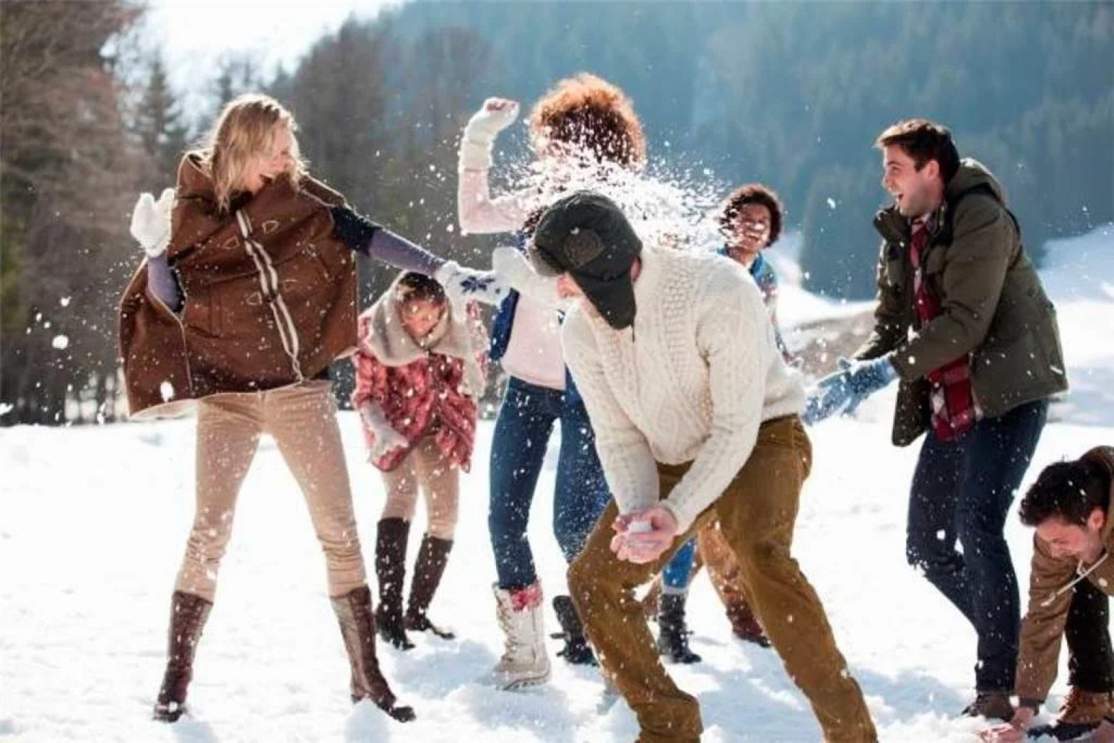 A Sleepy Bear's Hideaway