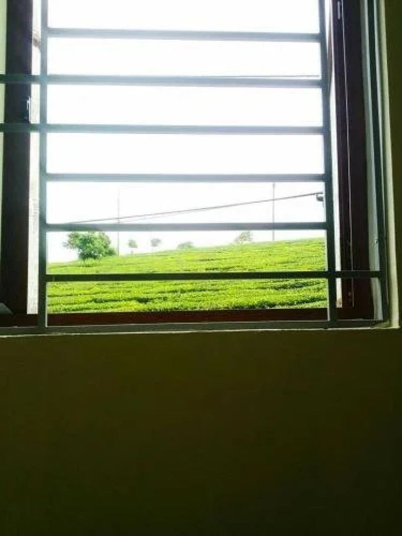 Moc Chau Xanh Guesthouse