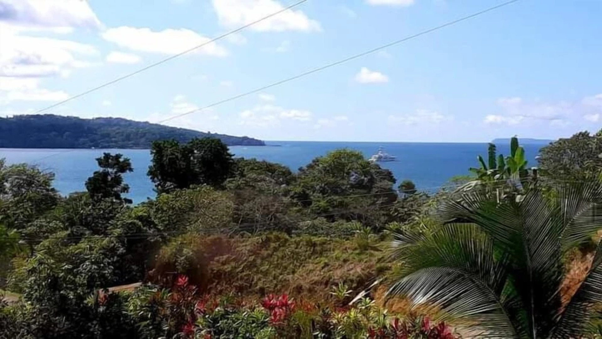 Ocean and forest view Manolo Cabins