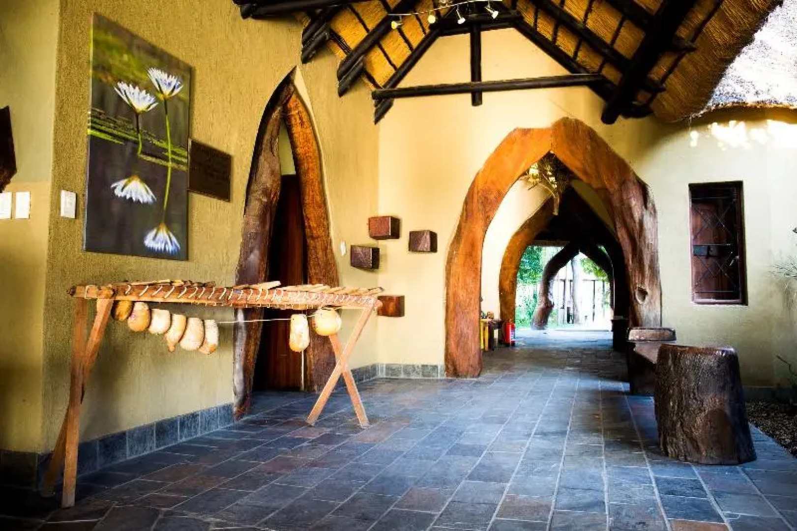 Namushasha River Camping2Go