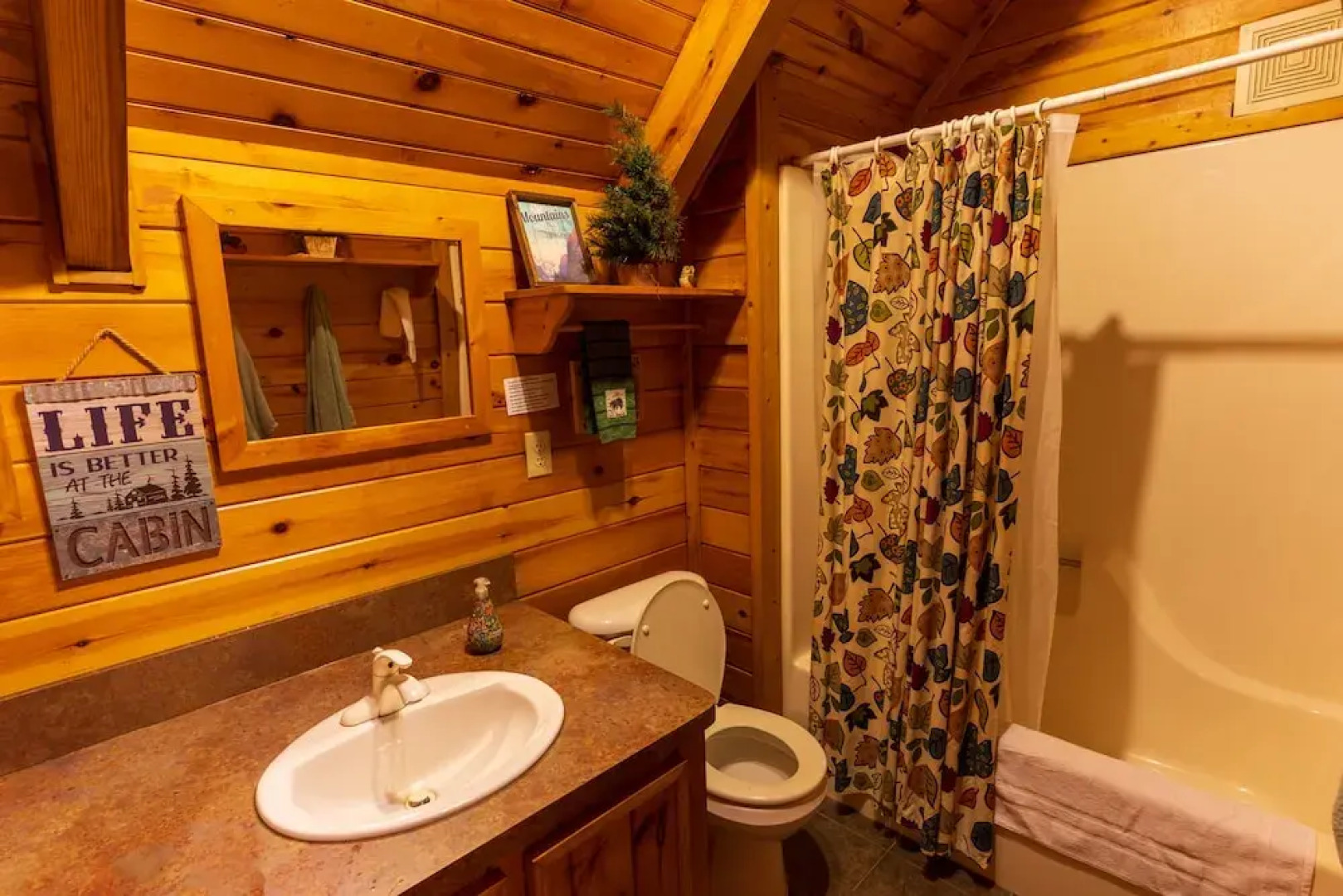 Blue Ridge Parkway Cabin Rentals