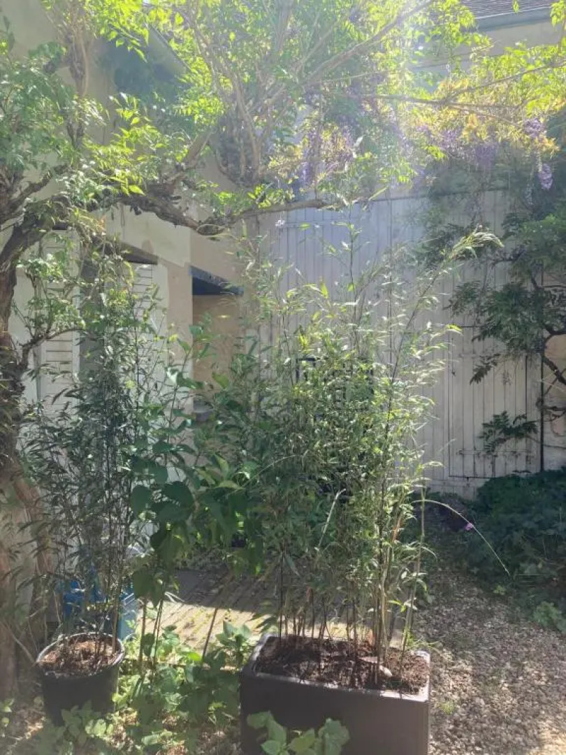 Studio Chez L’Habitant (Adults Only)