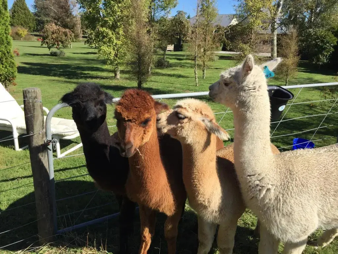 Ruapehu Country Lodge