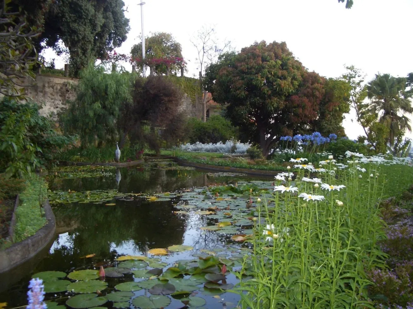 Villa - Quinta de Santa Luzia