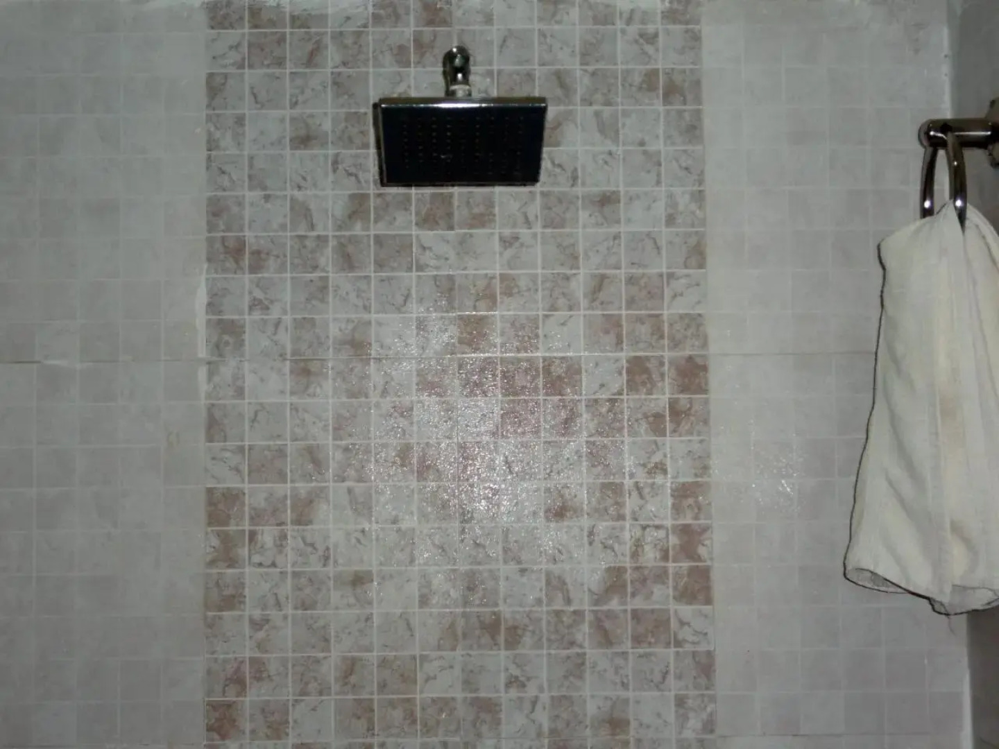 Hotel Parvati Palace