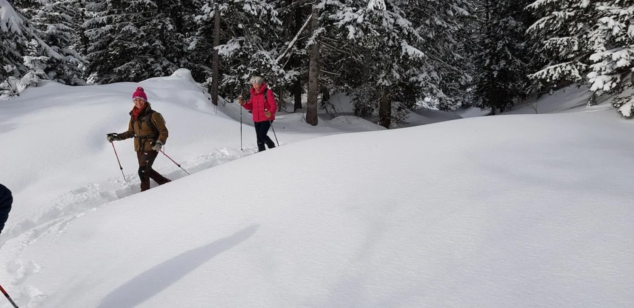 Pension Chalet Berkana