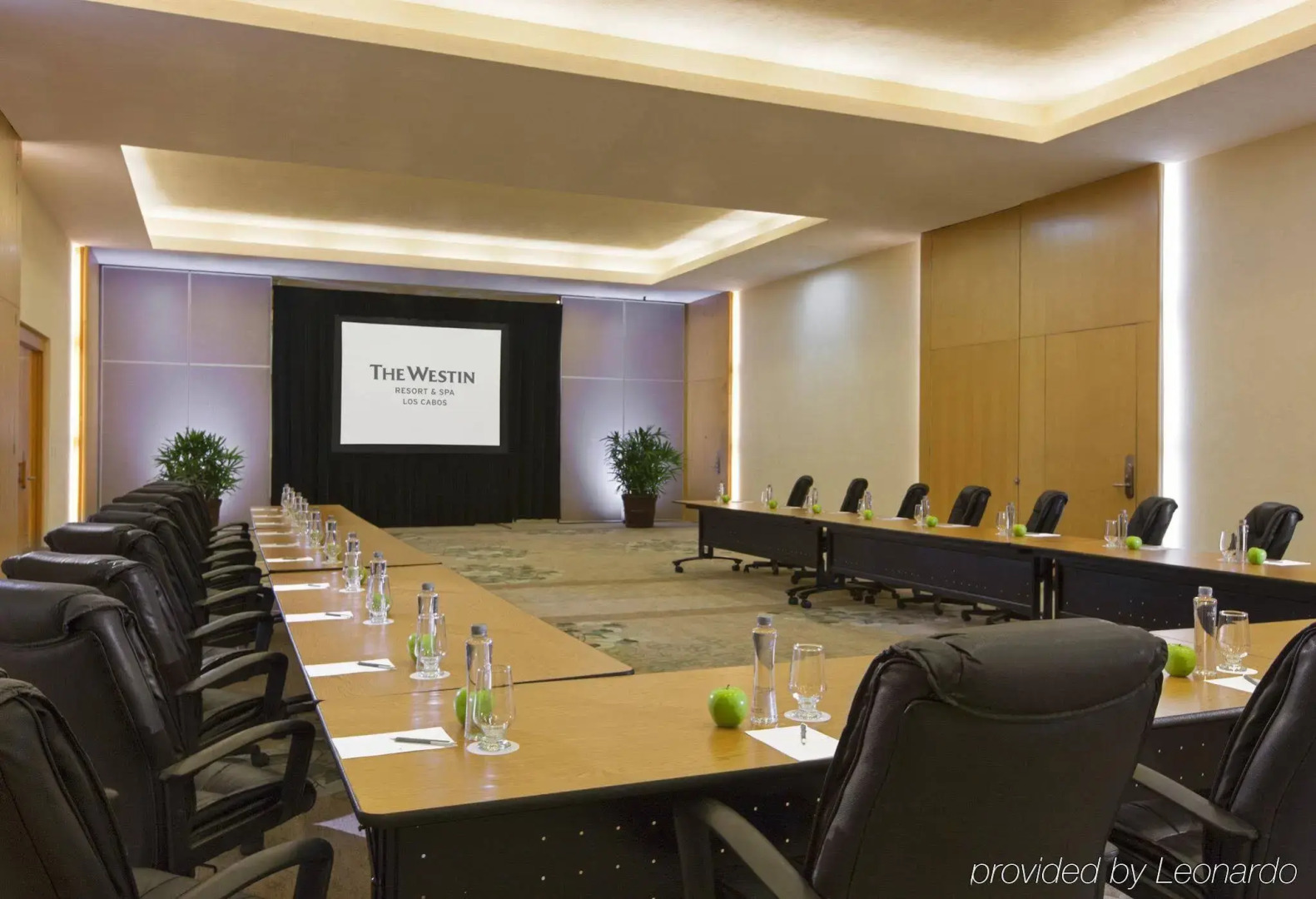 The Westin Los Cabos Resort Villas