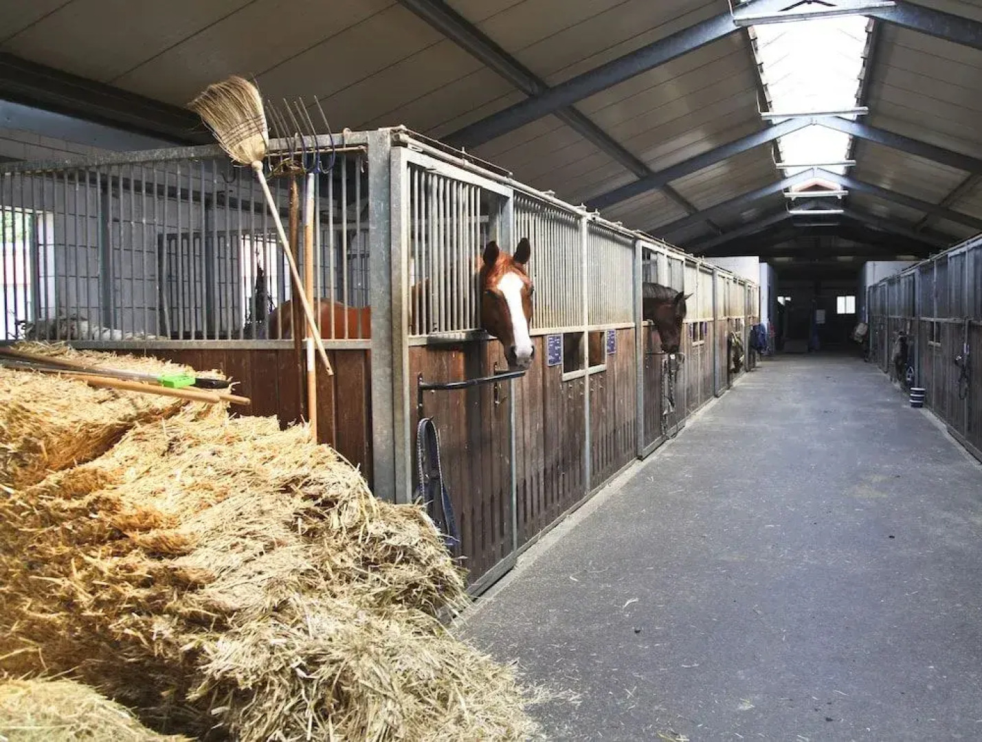 Country Inn Hotel Phöben