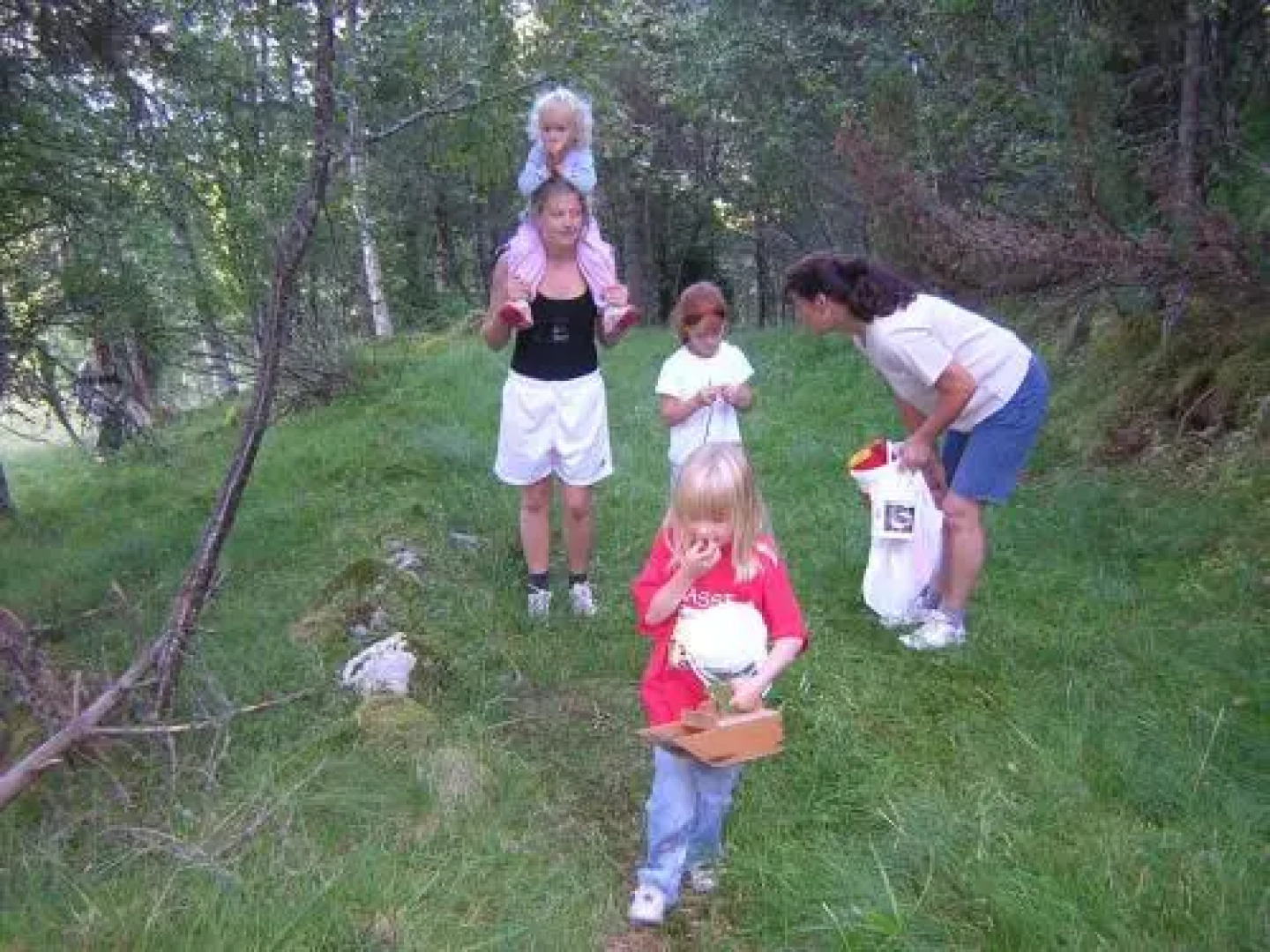 Sunndalsfjord Cottages Fredsvik