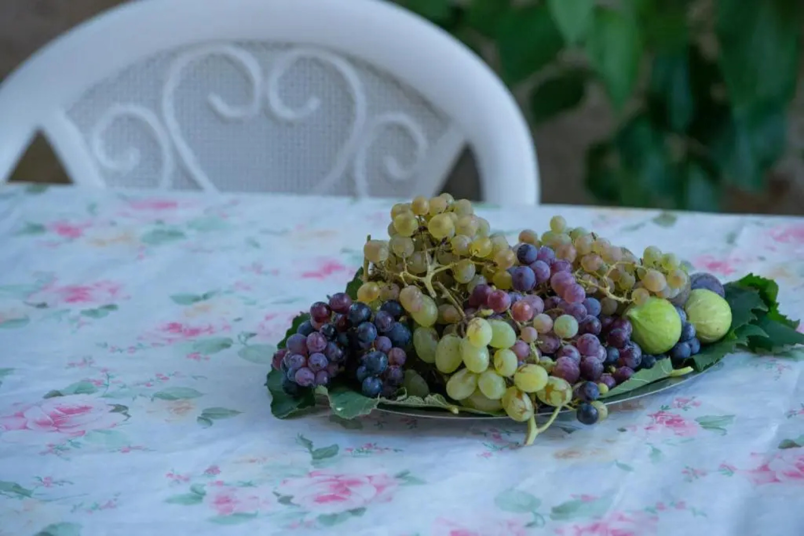 Guest House Riverside