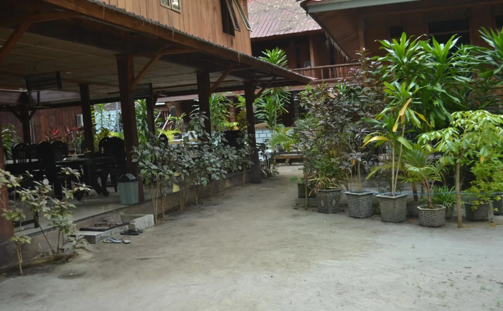 Hoga Dive Inn Wakatobi