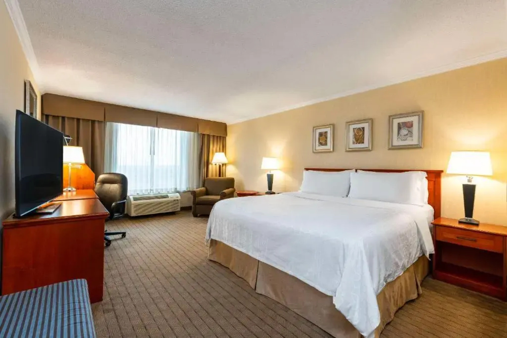 Holiday Inn Hotel & Conference Centre