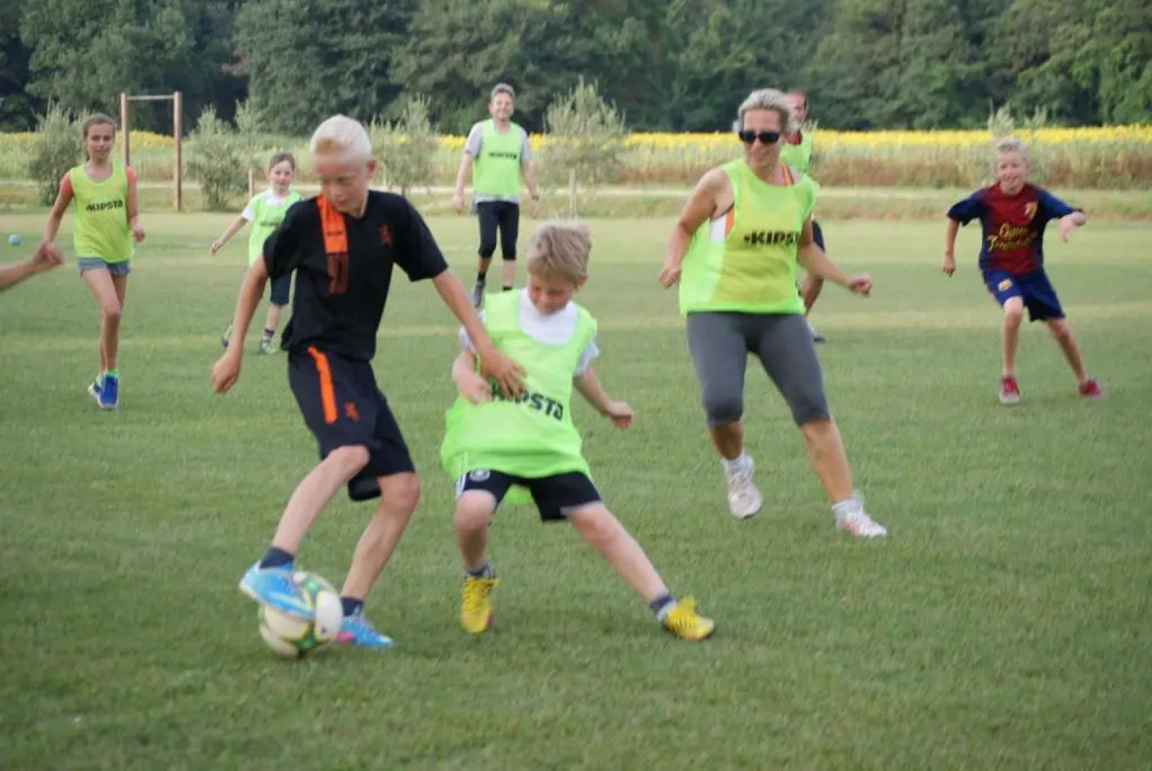 La Fattoria di Tirrenia