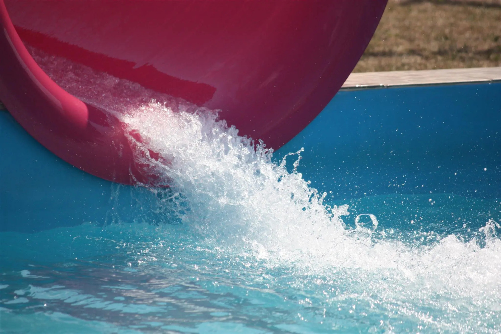 Samanea Boutique Apartment