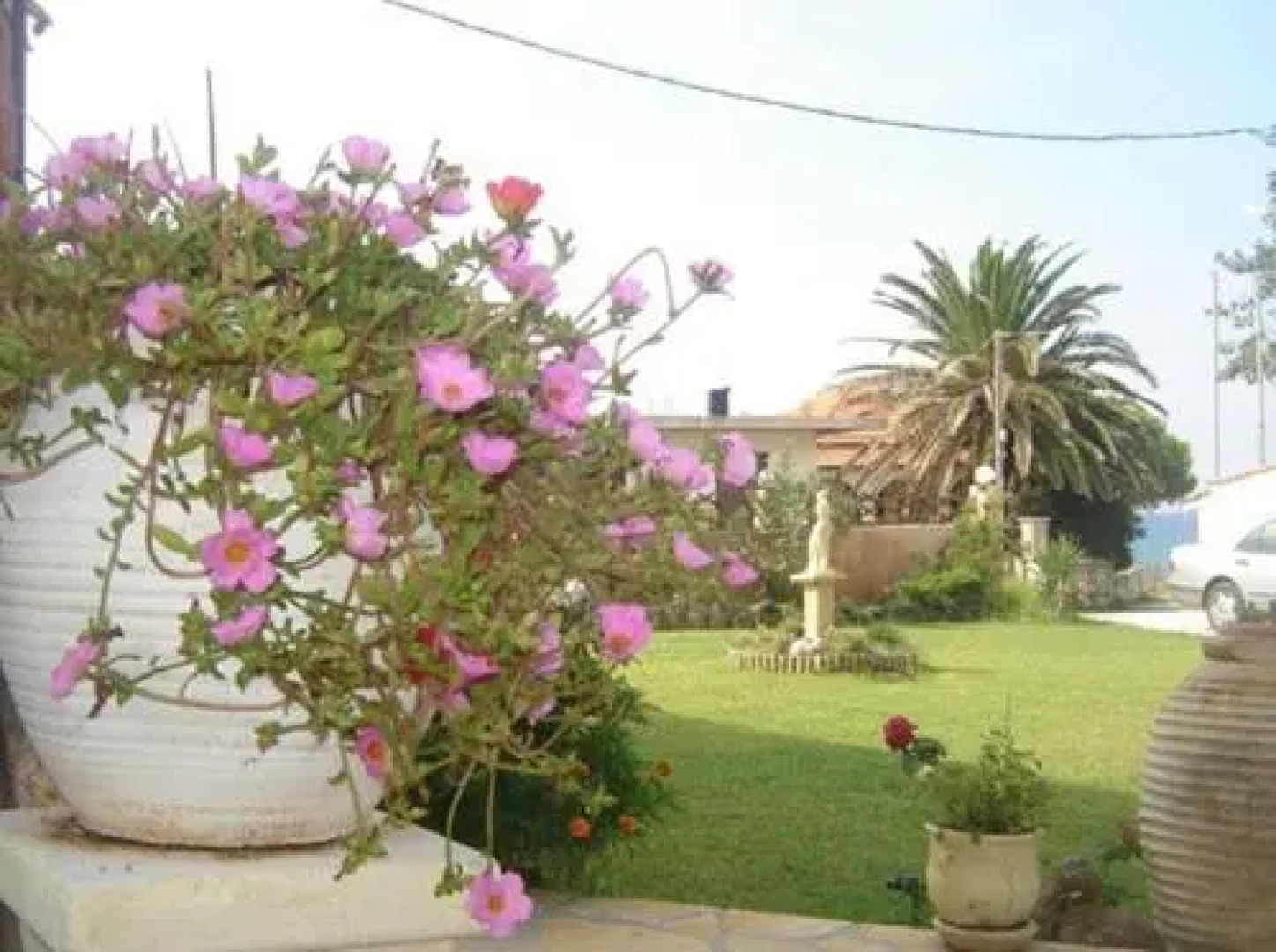 Angelique Apartments