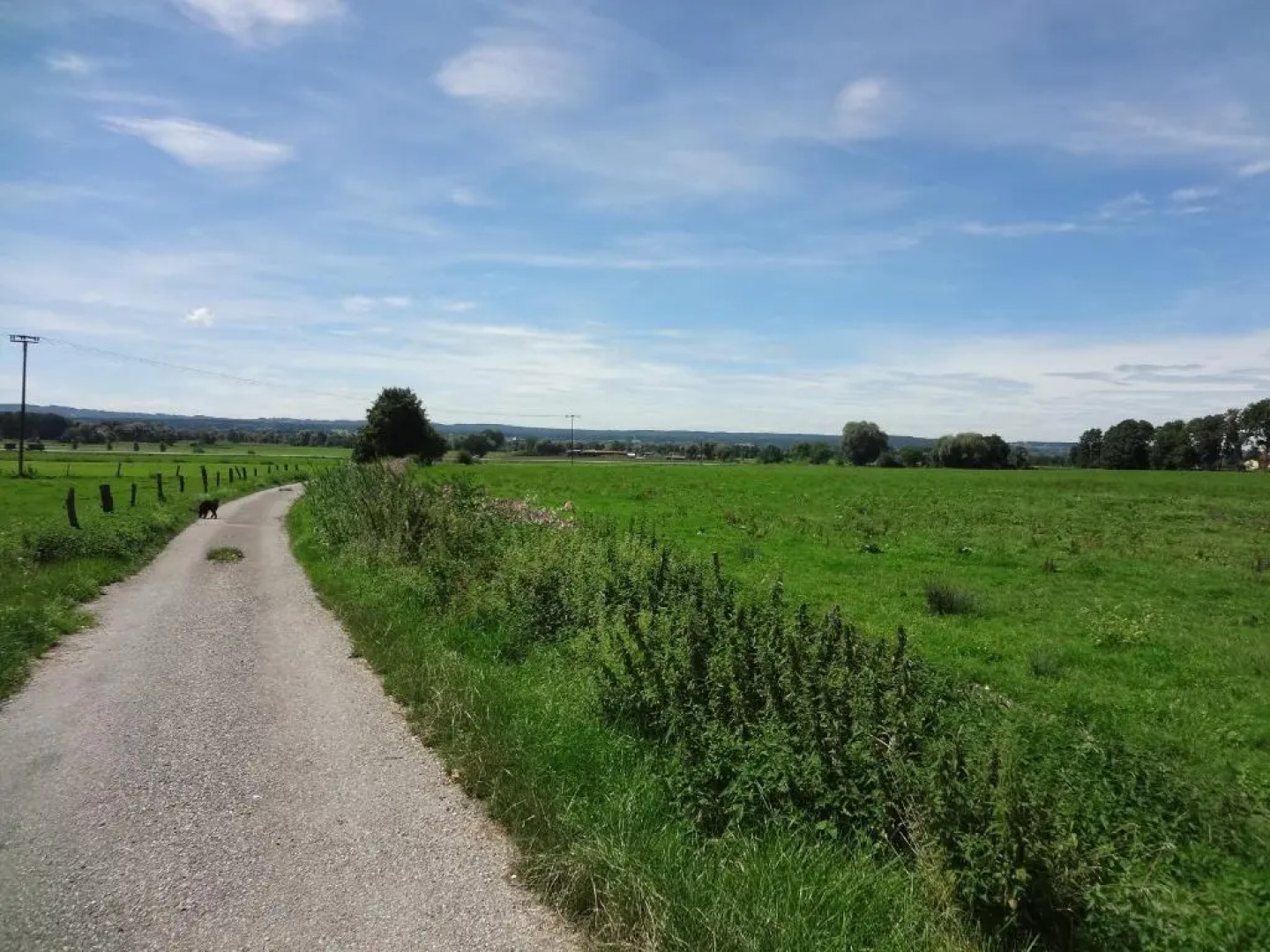 Sunny apartment in Pähl