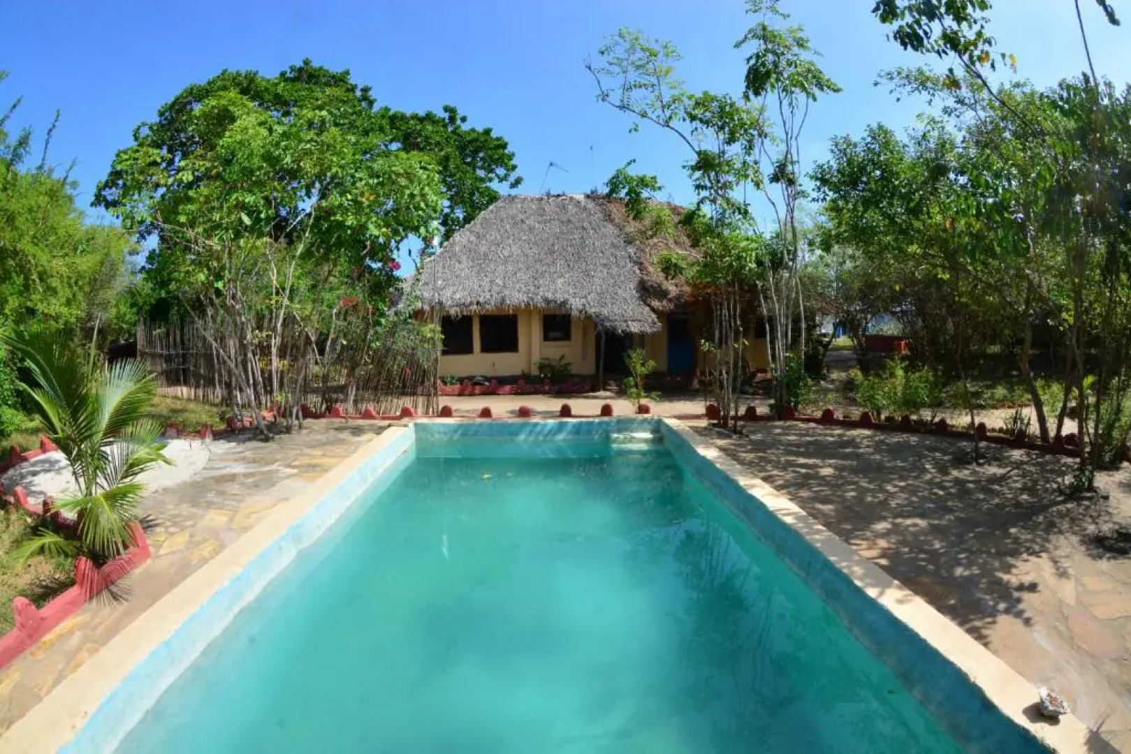 Gecko Nature Lodge & Swahili Divers