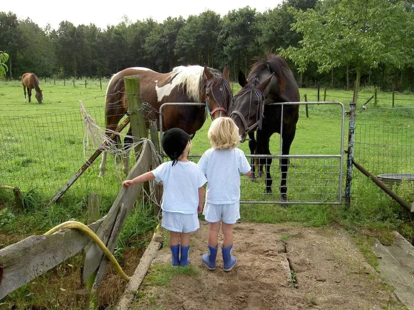 Apartment in Posterholt Near Meinweg Park