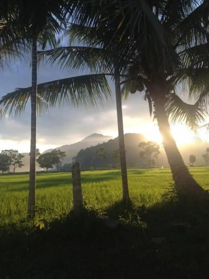 Sijo art and guesthouse